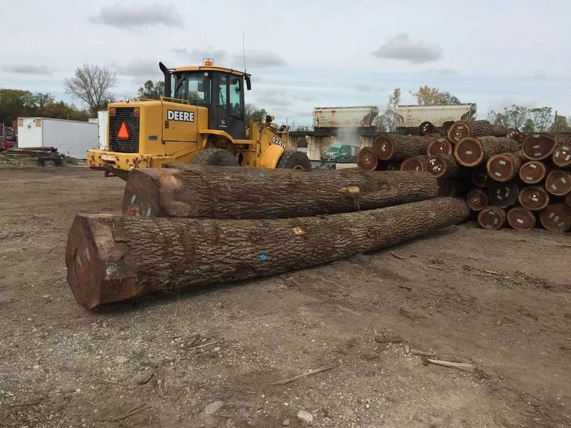 الصين Dongguan Yinghui Wood Industry Co., Ltd. ملف الشركة