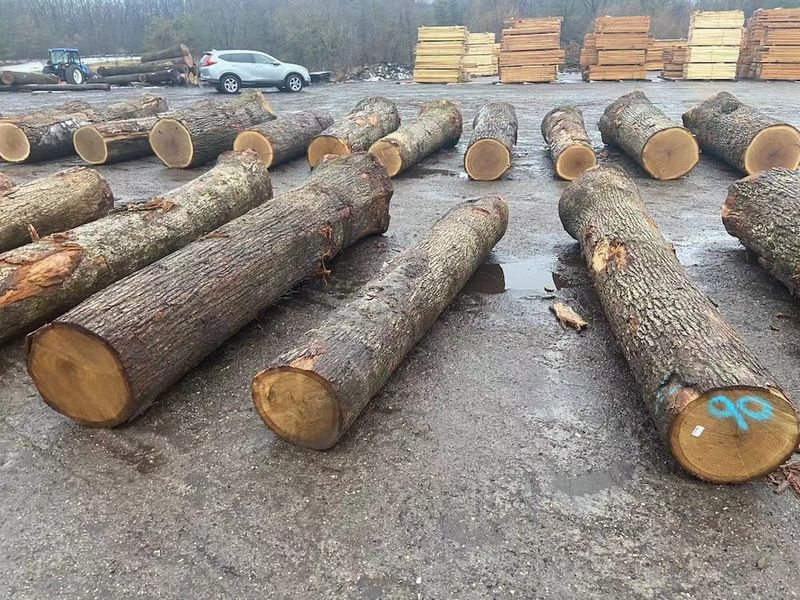 الصين Dongguan Yinghui Wood Industry Co., Ltd. ملف الشركة