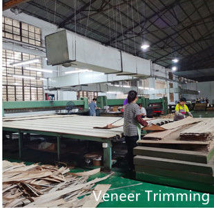 Dongguan Yinghui Wood Industry Co., Ltd. خط إنتاج الشركة المصنعة