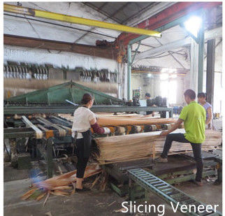 Dongguan Yinghui Wood Industry Co., Ltd. خط إنتاج الشركة المصنعة